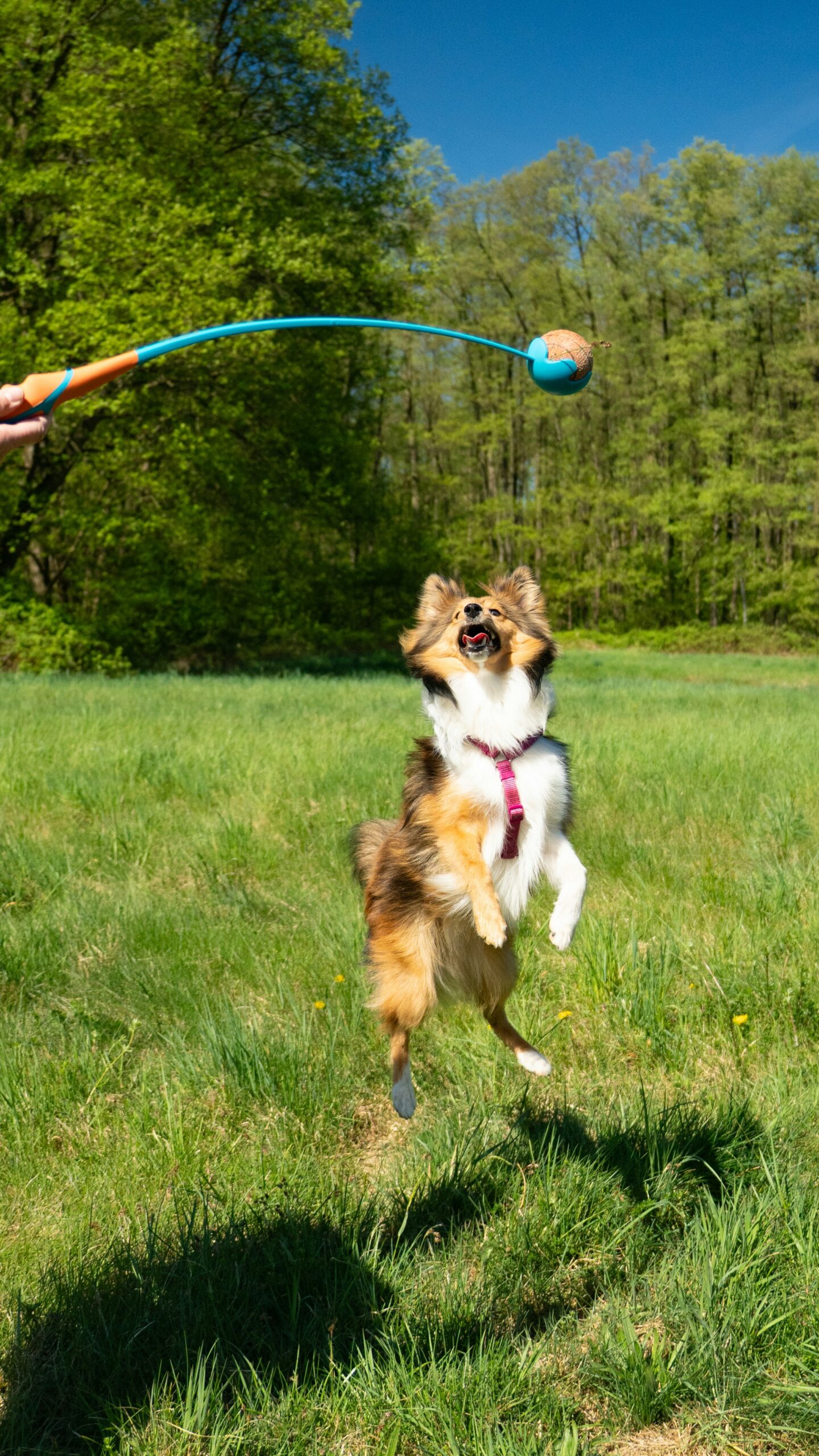 fridi-antrack-0ii5N9YYIVM-unsplash