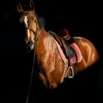 karin-zabret-W7vc1_6dQZE-unsplash