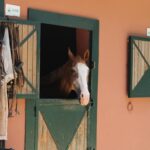 pexels-yahya-hbe-2149490834-35513824